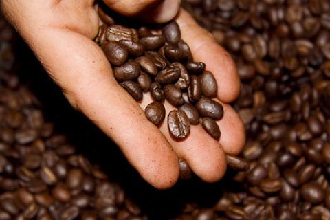 café