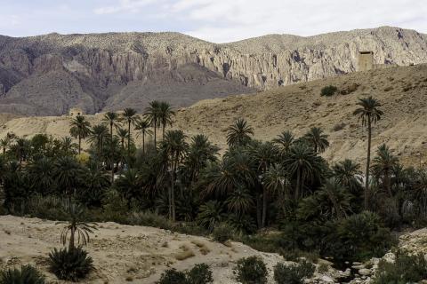 At the entrance to the Sahara, photograph by Dan Sloan (CC BY-SA 2.0 DEED) 