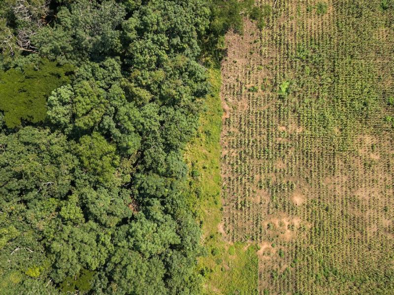 National Carbon Frameworks