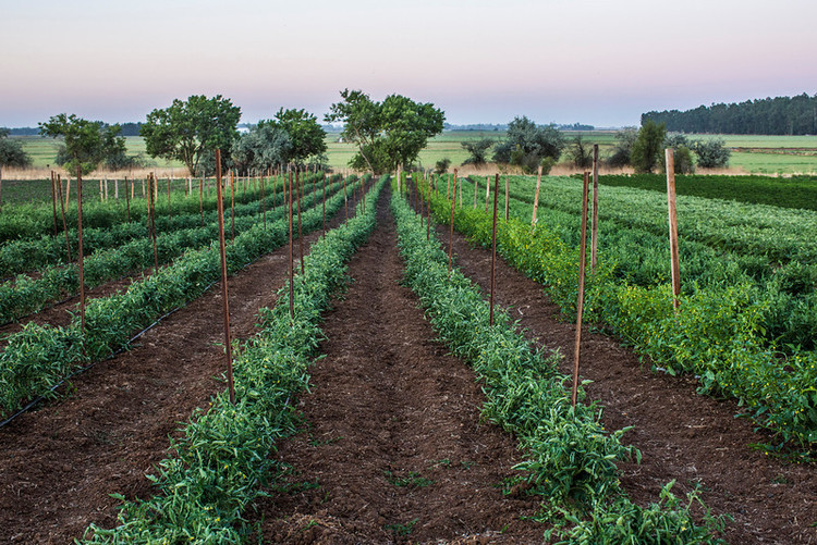 ecofarming