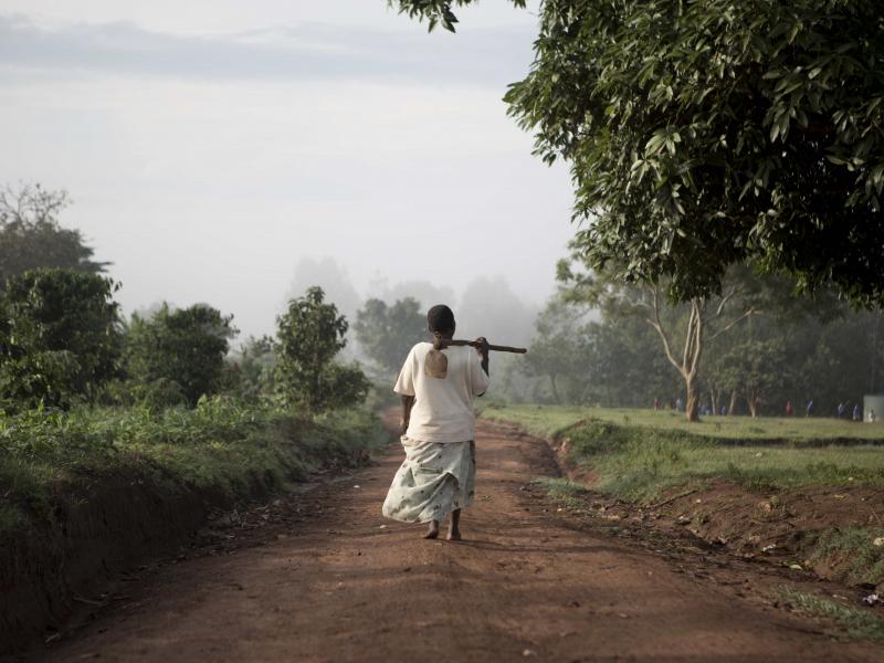 A person holding a hatchet in their rightsa hand over their rights shoulder is walking away from the camera along a dirt road next to trees and grass.