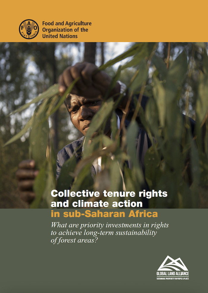 Collective Tenure Rights