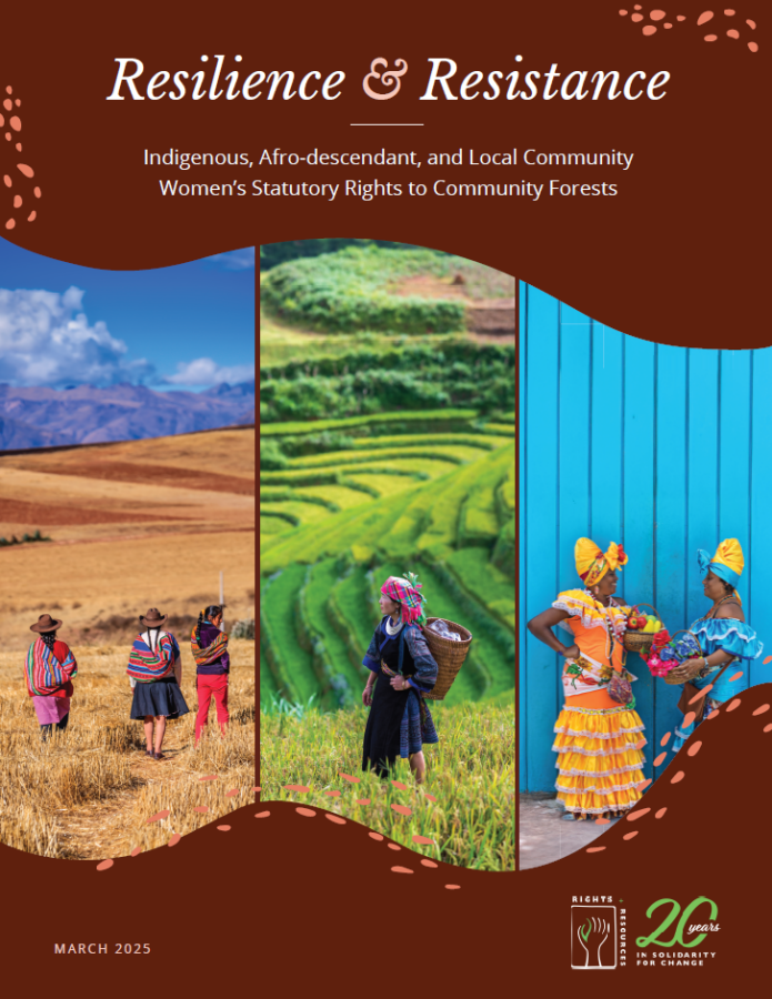 Indigenous, Afro-descendant, and Local Community Women's Statutory Rights to Community Forests