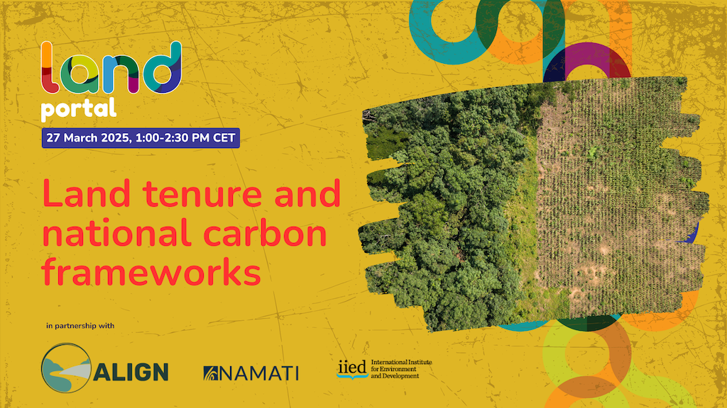 Land Tenure and National Carbon Frameworks