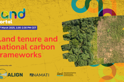 Land Tenure and National Carbon Frameworks