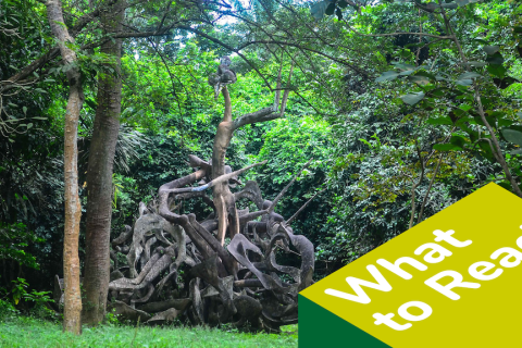 Sacred Forests in Africa